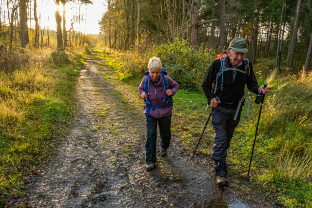 Joining the Allendale railway line