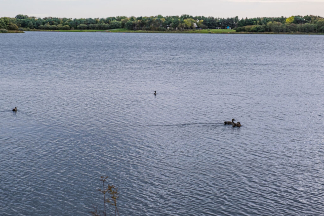 Ladyburn Lake, Druridge Country Park