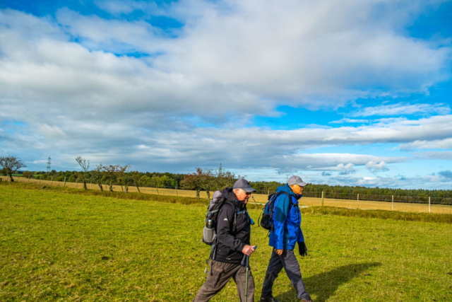 Approaching Molesden Plantation