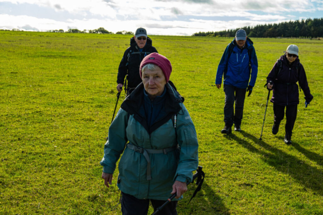 About to rejoin the railway line after Molesden Plantation