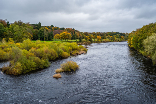 R Tyne at Corbridge