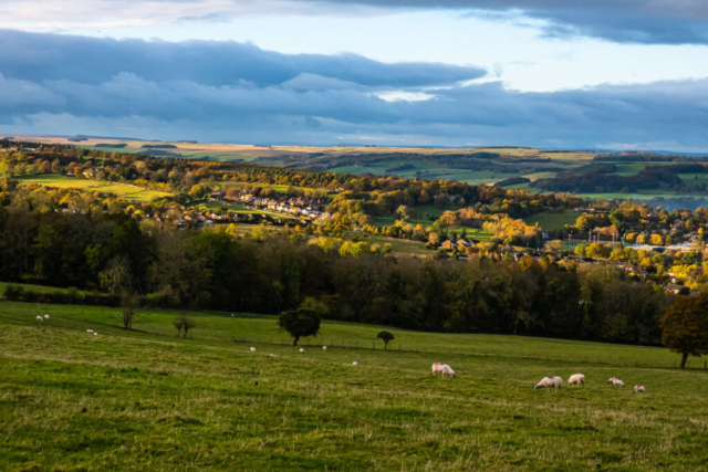 West Hexham from west of Black House