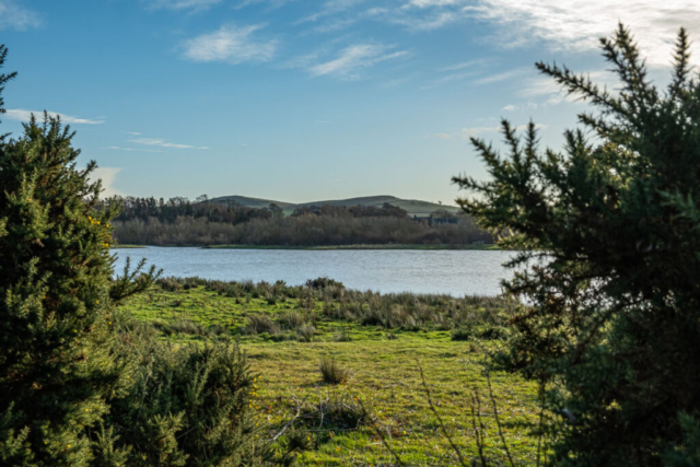 Glanton Pike,  gravel pond