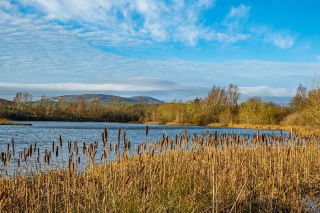 View WNW to Hedgehope from the east pond