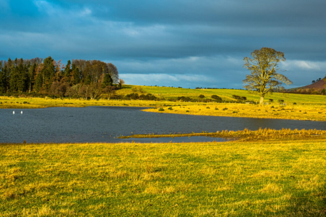 Gravel pond W of Beanley