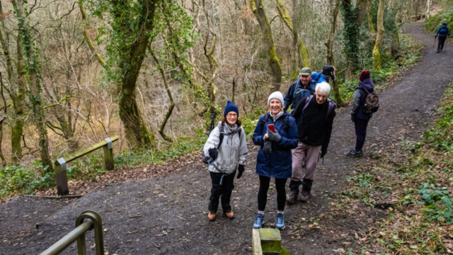 Causey Gill