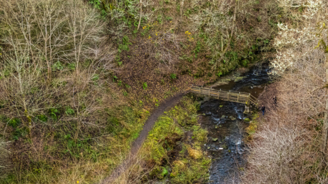 Causey Gill from the Arch