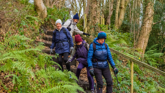 Descending towards Causey Burn