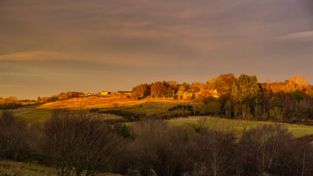 View north from NZ 203547