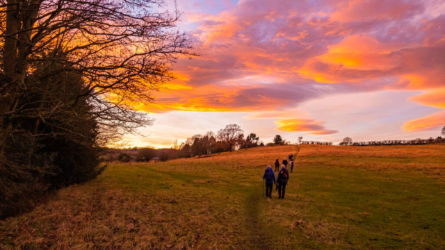 Black Horse beautiful sunset