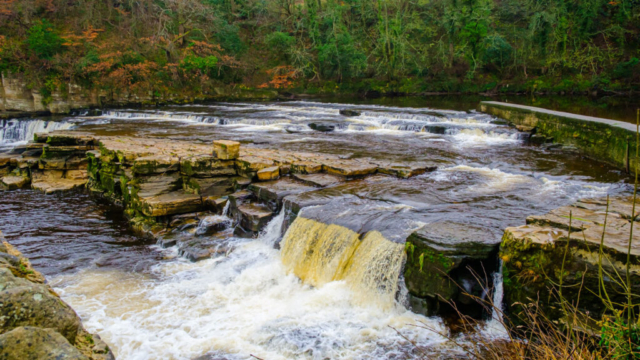 Waterfall  Richmond