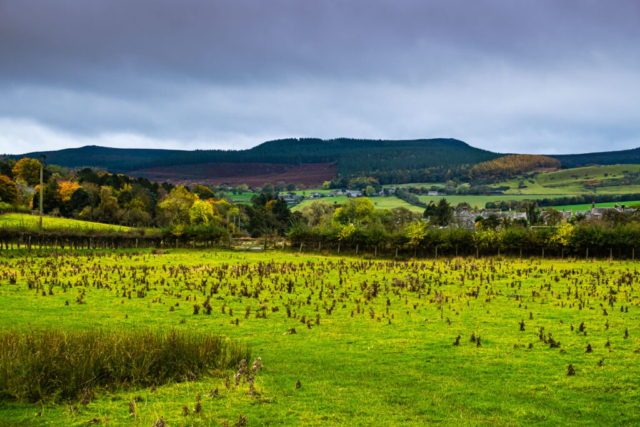 The Simonsides from Snitter Mill