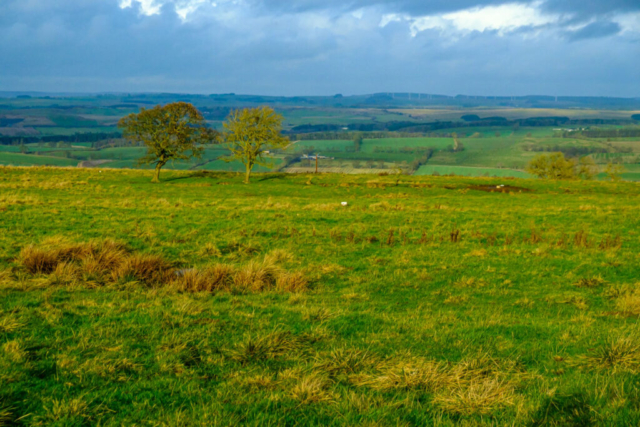 View north from path near Greenfield