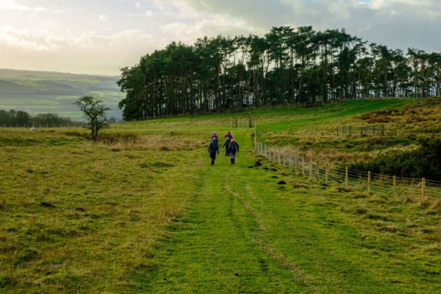 Heading towards Square Wood