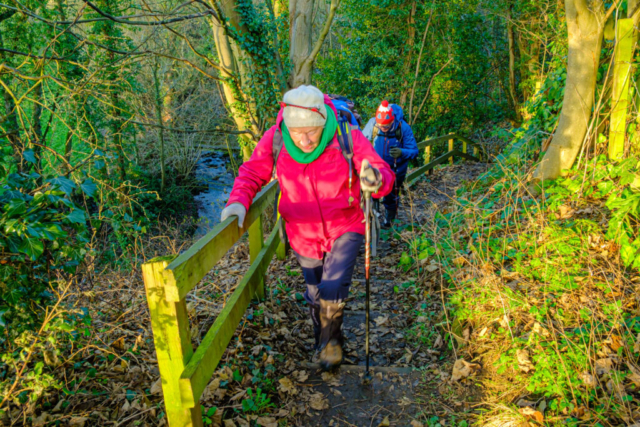 Ascending from the Red Burn