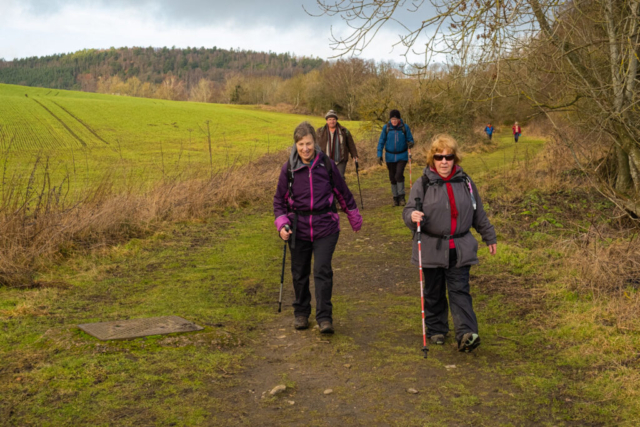 Near Wagtail Farm