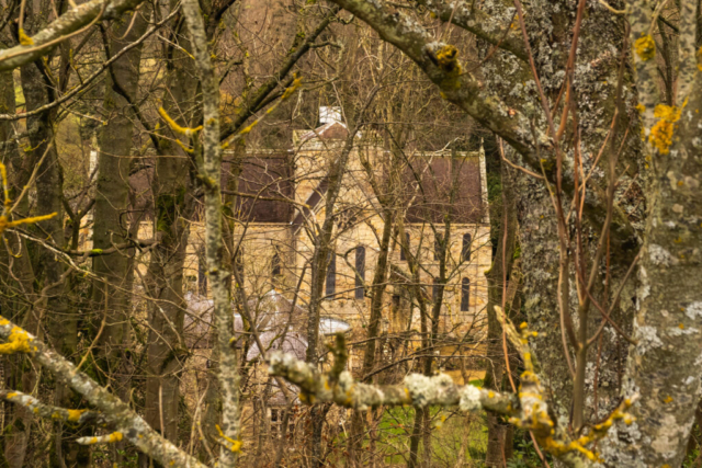 Brinkburn Priory through the trees