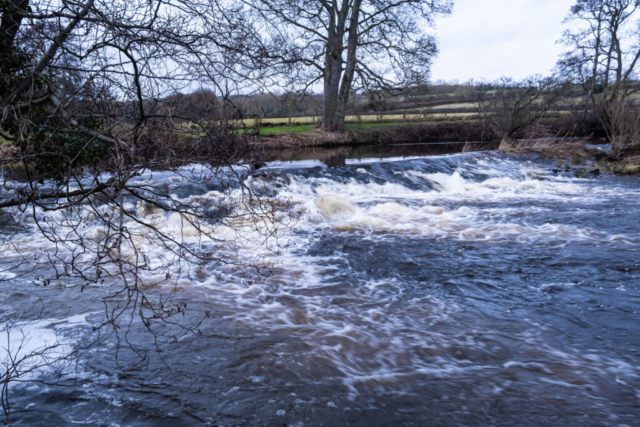 Fast flowing R Coquet near Weldon Bridge