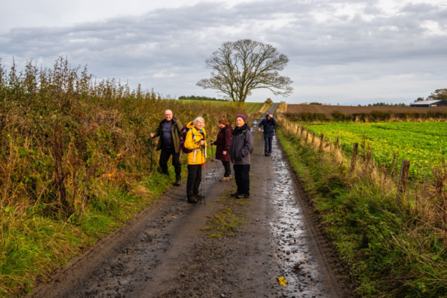 West of Swinhoe Farm