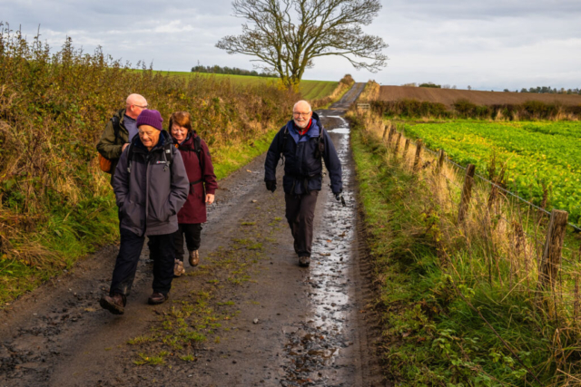 West of Swinhoe Farm