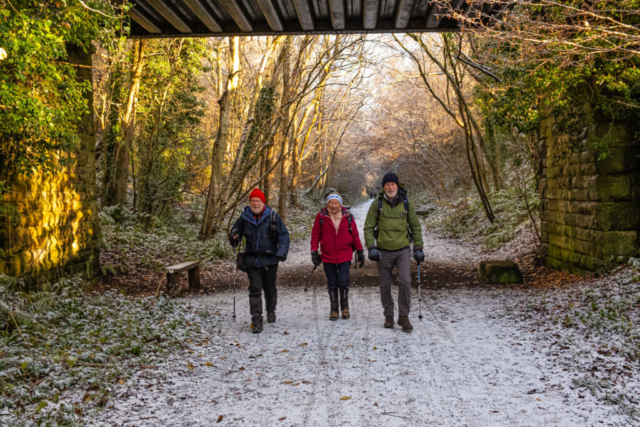 Near Derwent Country Park -  Derwent Walk