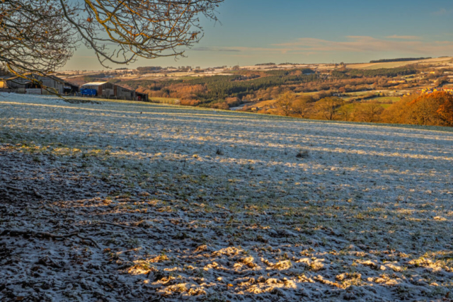 Near White Byerside Farm looking N across Derwent Valley