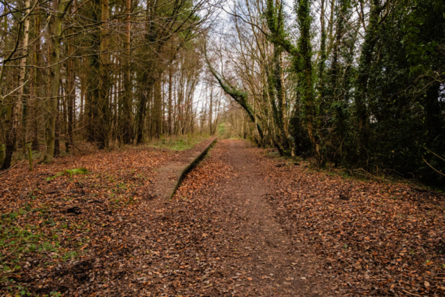 Remains of platform