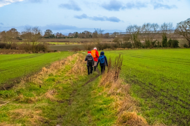 Muddy path west of Tudhoe Colliery