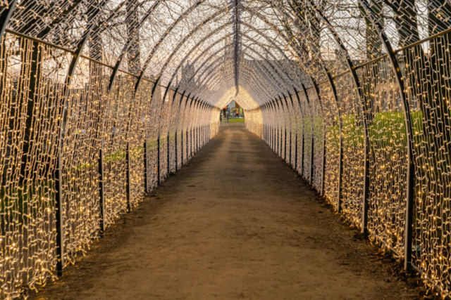 Tunnel of light