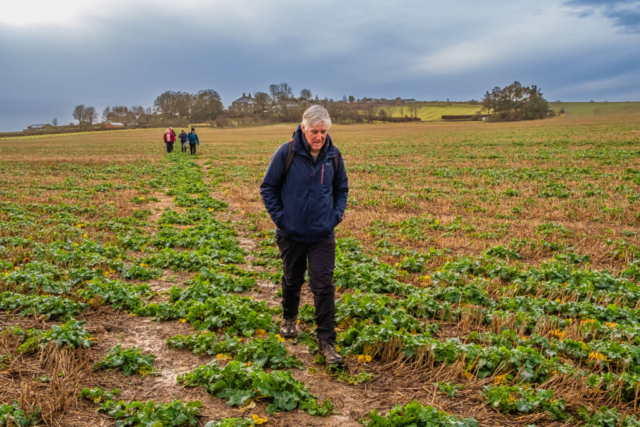 A rather wet field NW of High Buston