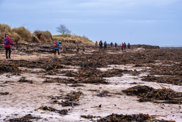 Debris on Alnmouth beach