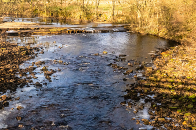 Tarset Burn from the footbridge