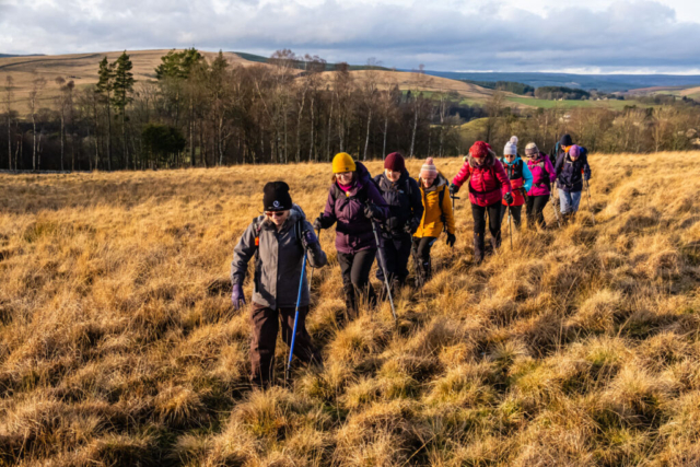 Crossing the field S of Greenhaugh