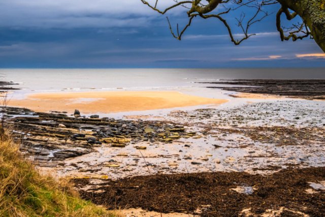 Sands near Howick Burn