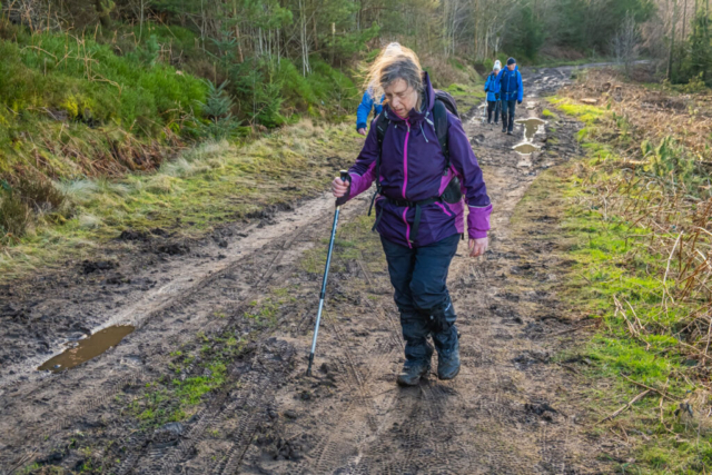 Guisborough Woods - it's getting a bit muddy