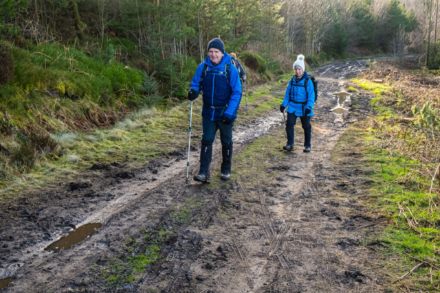 Guisborough Woods - it's getting a bit muddy