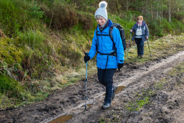 Guisborough Woods - it's getting a bit muddy