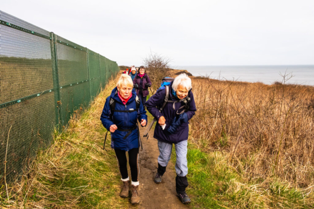 Along the cliff top