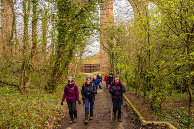 Passing under the railway bridge in Castle Eden Dene