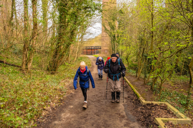Passing under the railway bridge in Castle Eden Dene