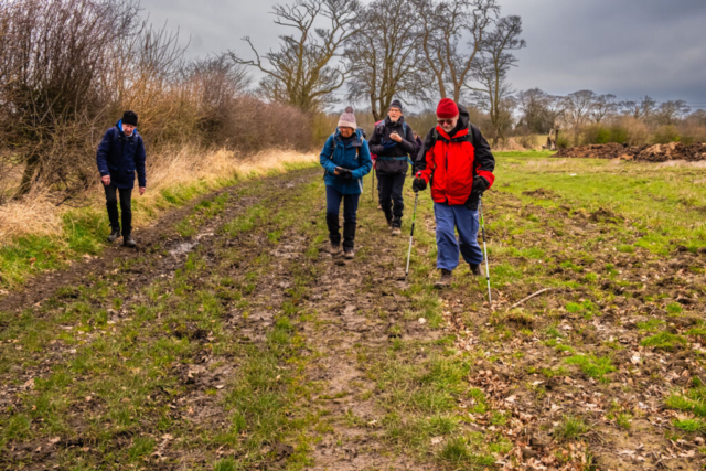 Clarty field before the railway line