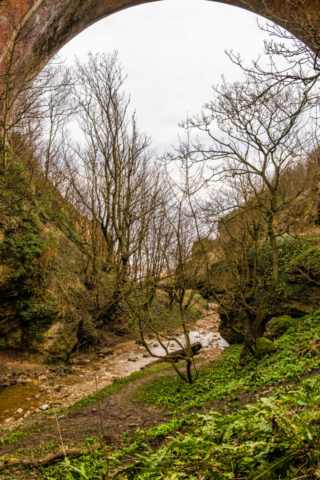Railway Bridge over Hawthorne Burn