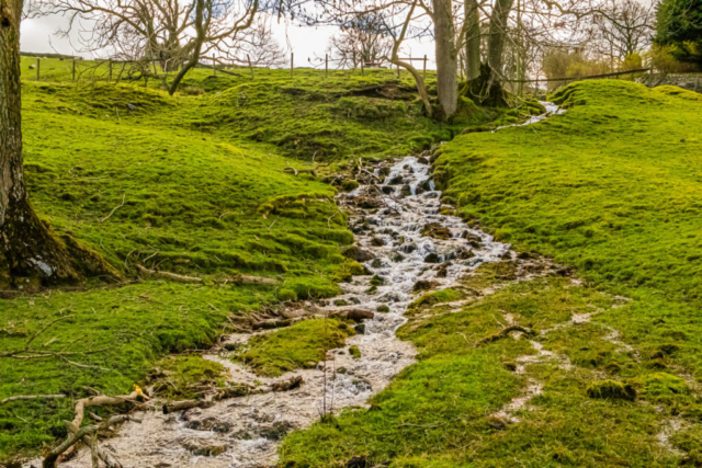 Stream near Swale Hall