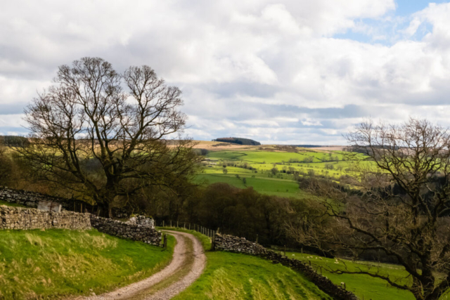 Looking back down Swaledale from Old Vicarage Farm