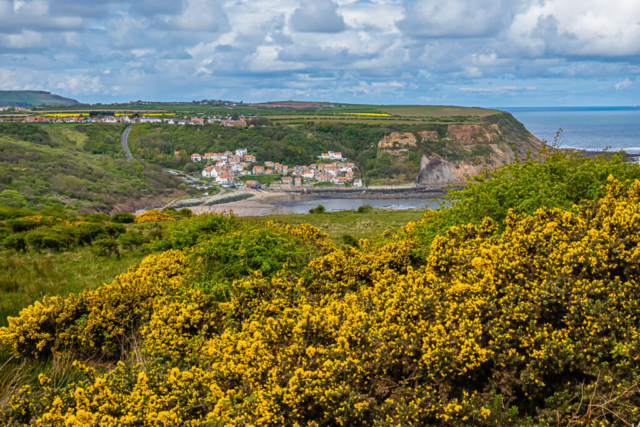 Runswick Bay from High Cliff