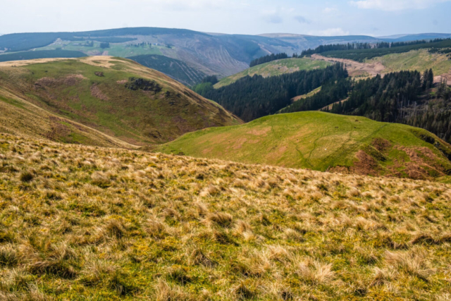 First view of the Alwin valley