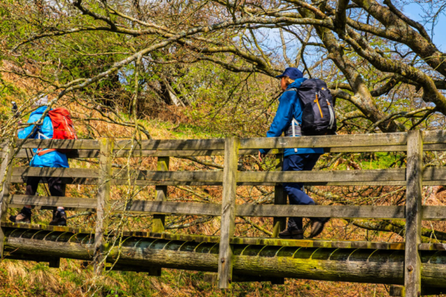 Crossing the Spartley Burn near Hazeltonrig