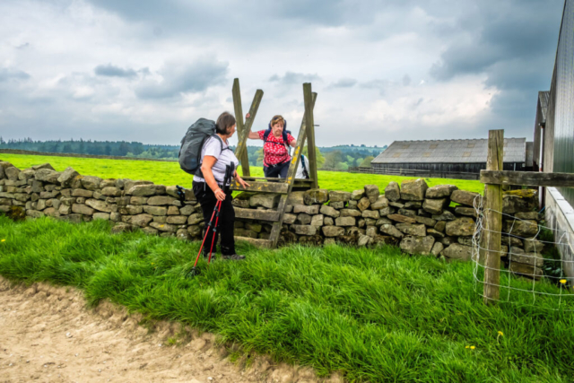 Warsill Hall Farm