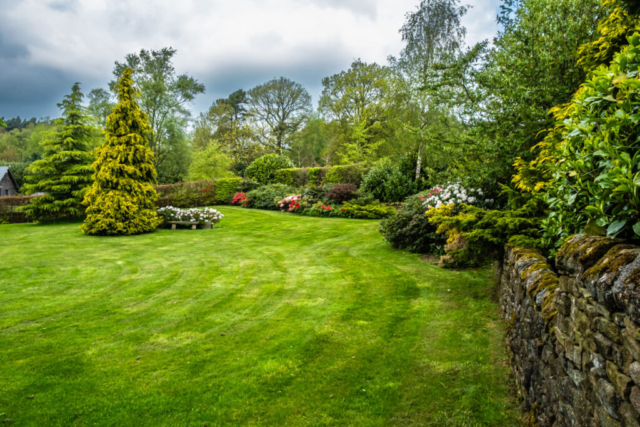 Garden at Warren House