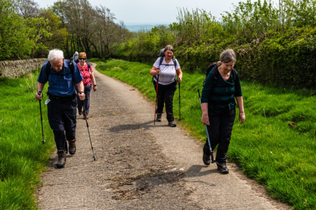 Nearing the road after Summer Wood House